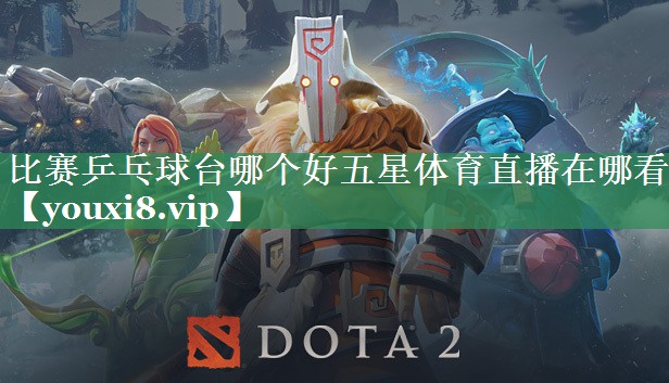 比赛乒乓球台哪个好五星体育直播在哪看