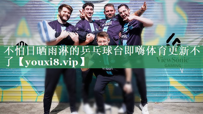 不怕日晒雨淋的乒乓球台即嗨体育更新不了