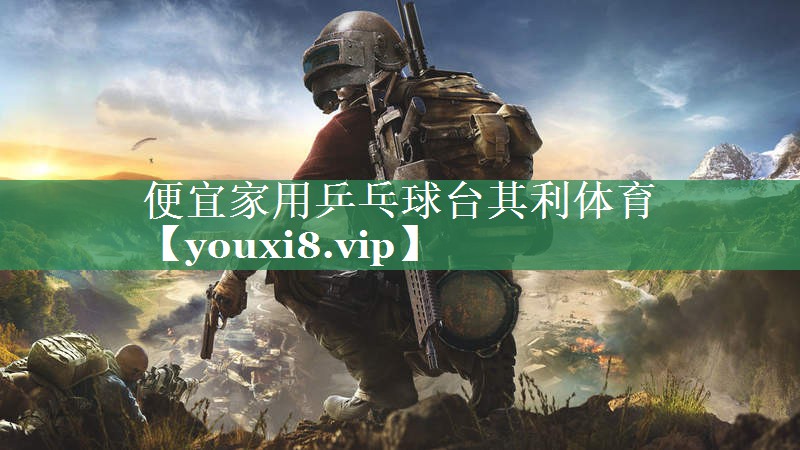 便宜家用乒乓球台其利体育