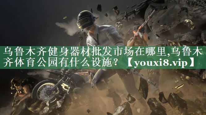 乌鲁木齐健身器材批发市场在哪里,乌鲁木齐体育公园有什么设施？