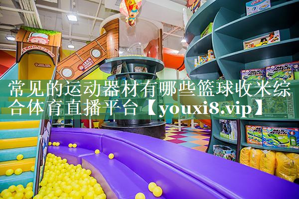 常见的运动器材有哪些篮球收米综合体育直播平台