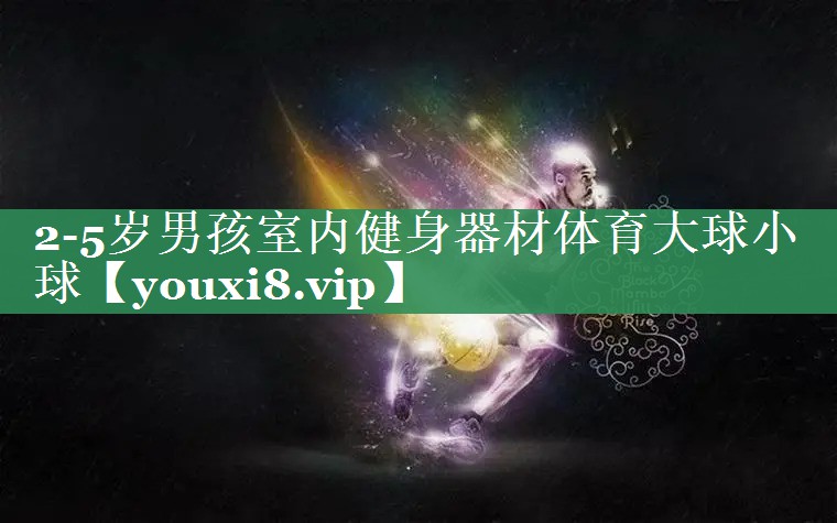 2-5岁男孩室内健身器材体育大球小球