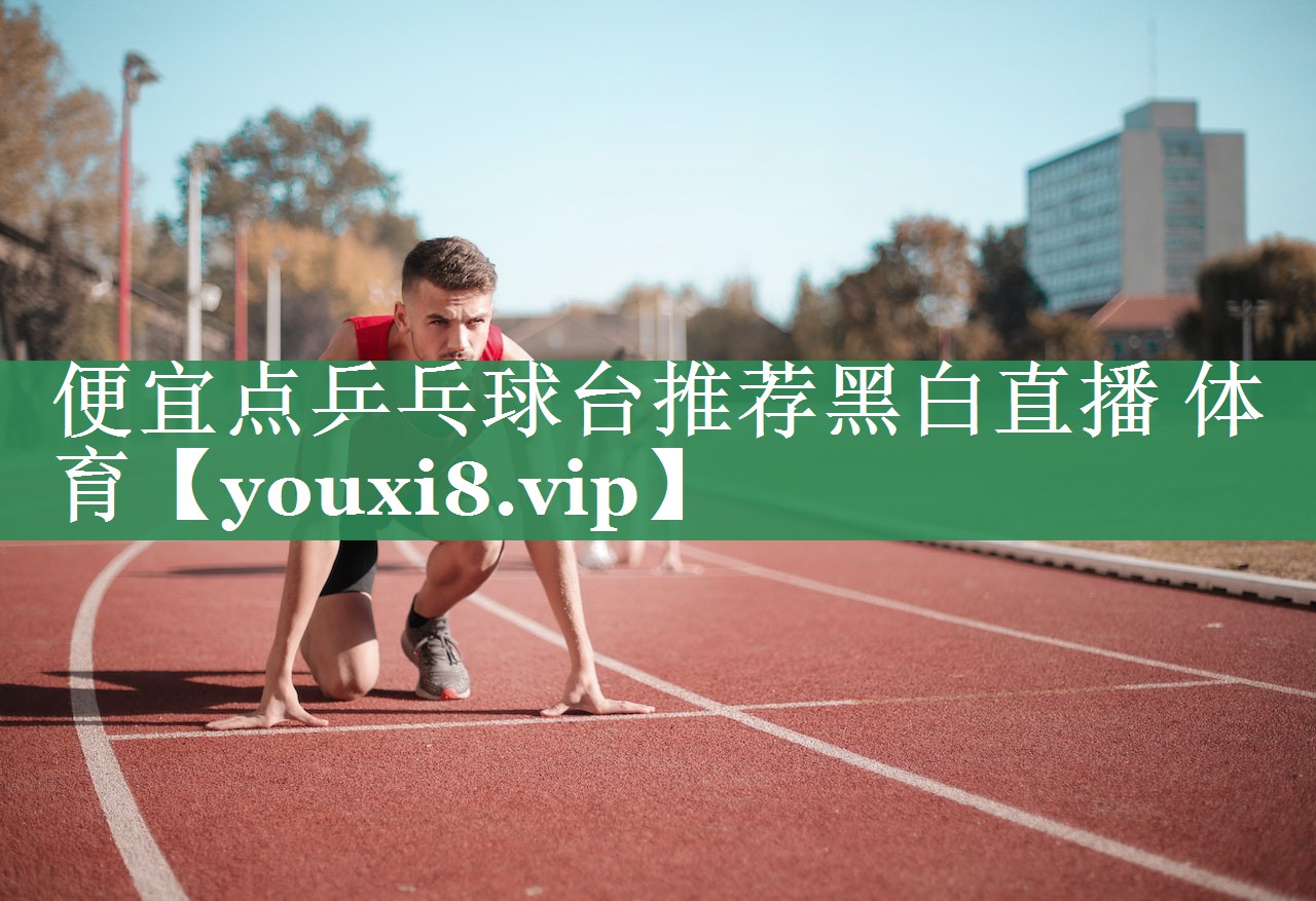 便宜点乒乓球台推荐黑白直播 体育