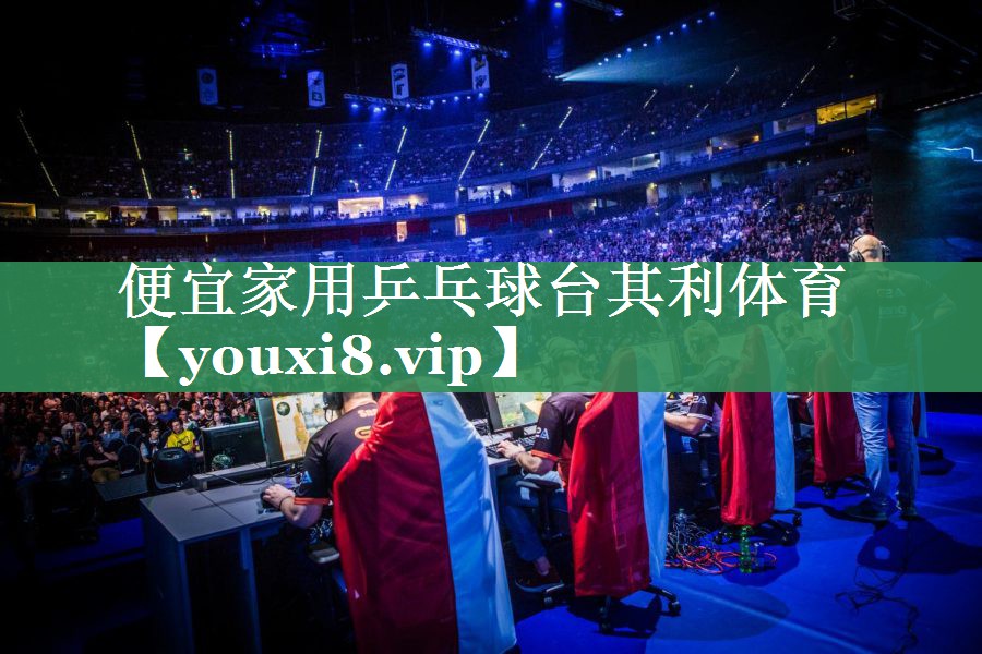 便宜家用乒乓球台其利体育